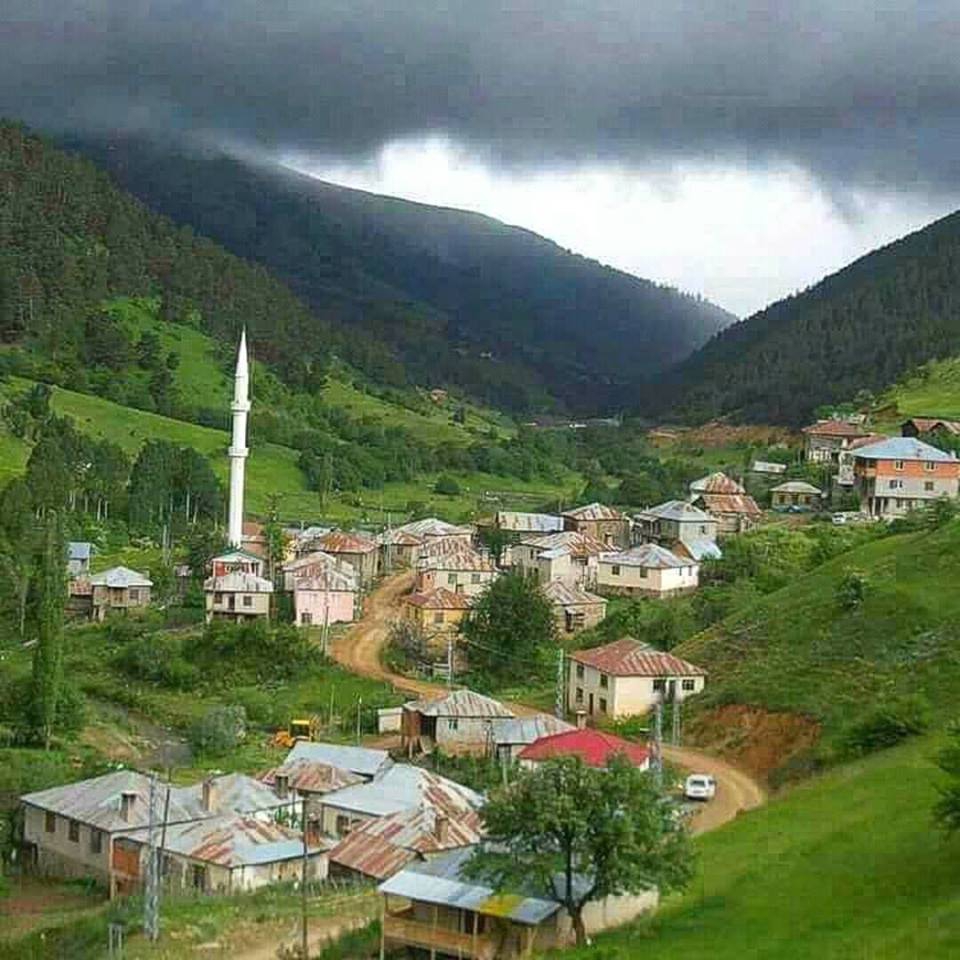 Alucra Tohumluk Köyü Resimleri 5