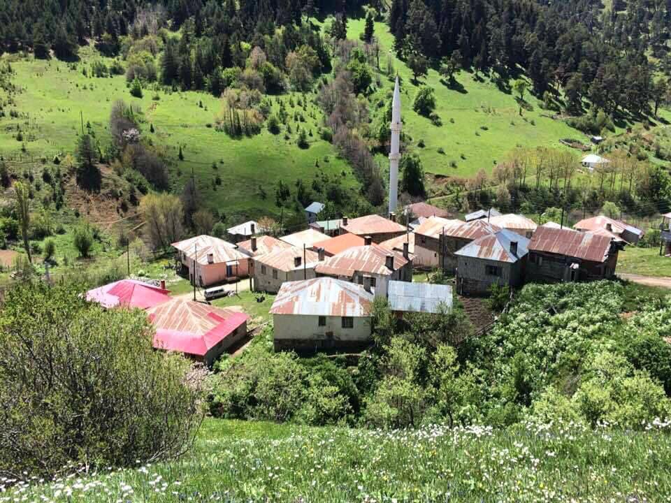 Alucra Tohumluk Köyü Resimleri 7