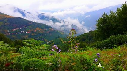 Bulancak Aydındere Köyü Resimleri 1