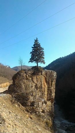 Bulancak Aydındere Köyü Resimleri 5