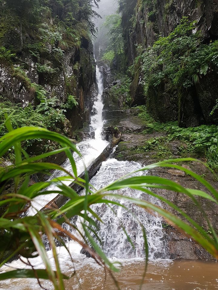 Bulancak Aydındere Köyü Resimleri 7