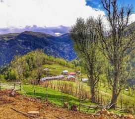 Bulancak Aydındere Köyü Resimleri 8