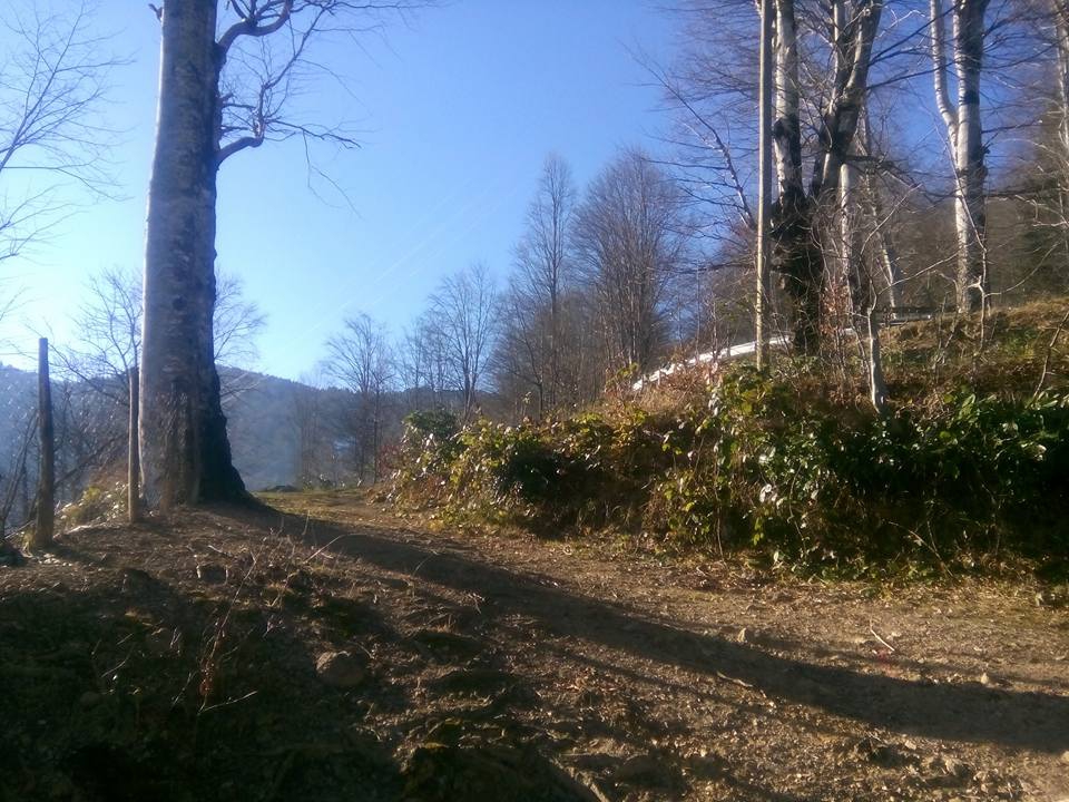 Bulancak Kovanlık Köyü Resimleri 13