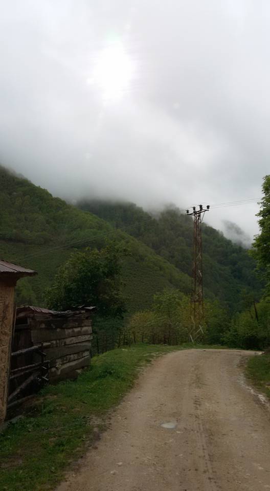 Bulancak Ahırlı Köyü Resimleri 1