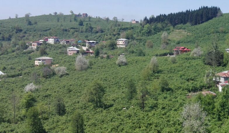 Bulancak Ahmetli Köyü Resimleri 12