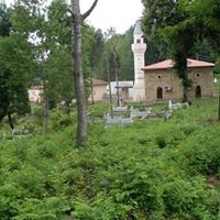 Bulancak Ahmetli Köyü Resimleri 4