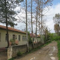 Bulancak Ahmetli Köyü Resimleri 5