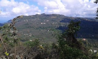 Bulancak Ahmetli Köyü Resimleri 7