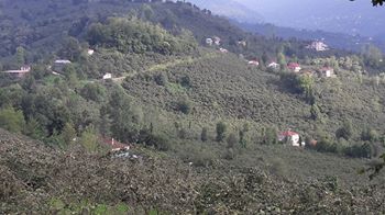 Bulancak Ahmetli Köyü Resimleri 9