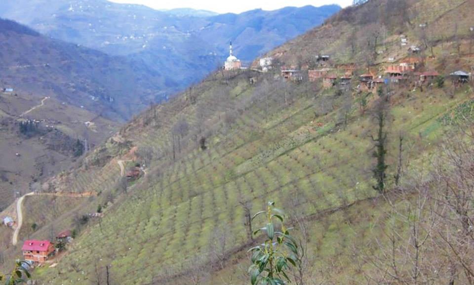 Bulancak Alibey Köyü Resimleri 5