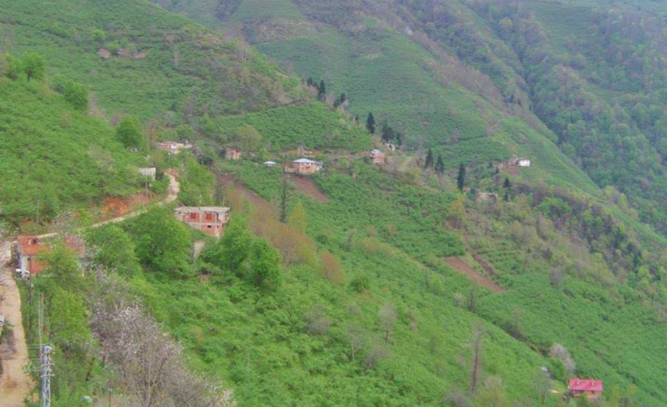 Bulancak Alibey Köyü Resimleri 6