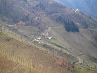 Bulancak Alibey Köyü Resimleri 7