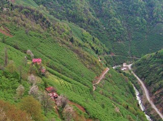 Bulancak Alibey Köyü Resimleri 8