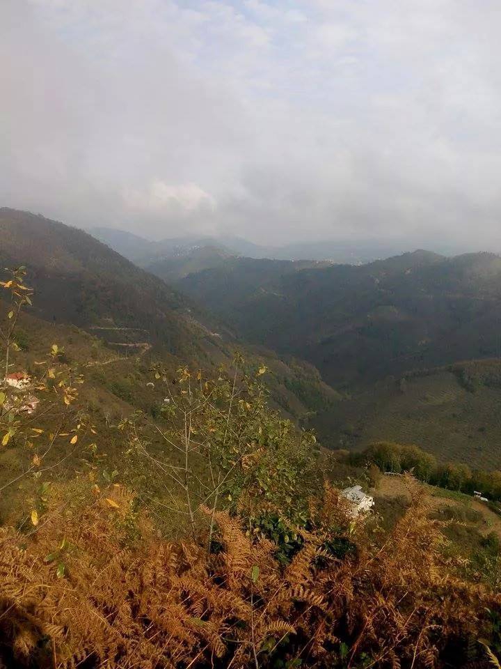 Bulancak Ardahan Köyü Resimleri 3