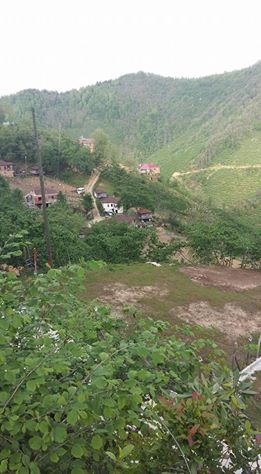 Bulancak Ardahan Köyü Resimleri 4