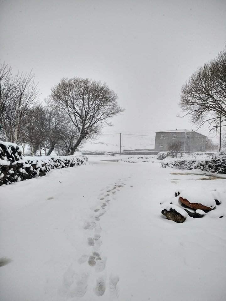 Hanak Güneşgören Köyü Resimleri 10