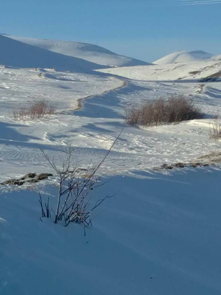 Hanak Güneşgören Köyü Resimleri 8