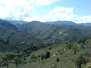 Bulancak Ataköy Köyü Resimleri 1