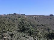 Bulancak Ataköy Köyü Resimleri 10