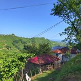 Bulancak Ataköy Köyü Resimleri 14