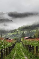 Bulancak Ataköy Köyü Resimleri 8