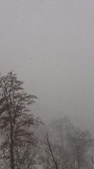 Bulancak Ataköy Köyü Resimleri 9