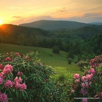 Bulancak Bahçeli Köyü Resimleri 1