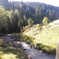 Bulancak Bahçeli Köyü Resimleri 8