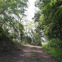 Bulancak Burunucu Köyü Resimleri 9