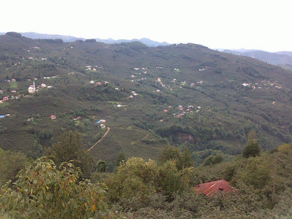 Bulancak Büyükada Köyü Resimleri 4