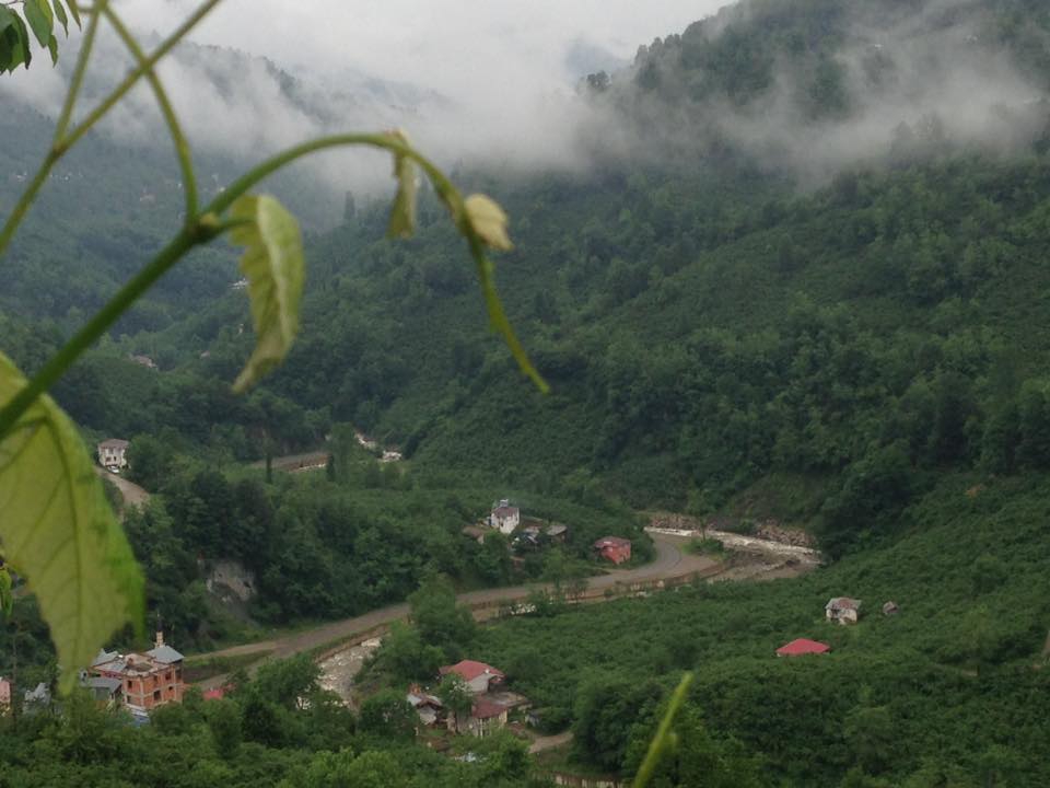 Bulancak Büyükada Köyü Resimleri 5