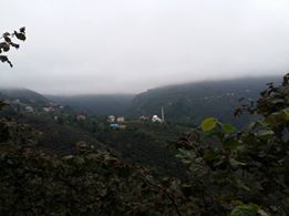 Bulancak Cindi Köyü Resimleri 13