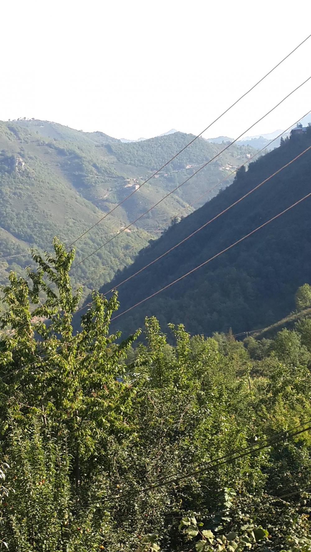 Bulancak Cindi Köyü Resimleri 2