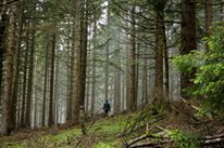 Bulancak Döngeri Köyü Resimleri 6