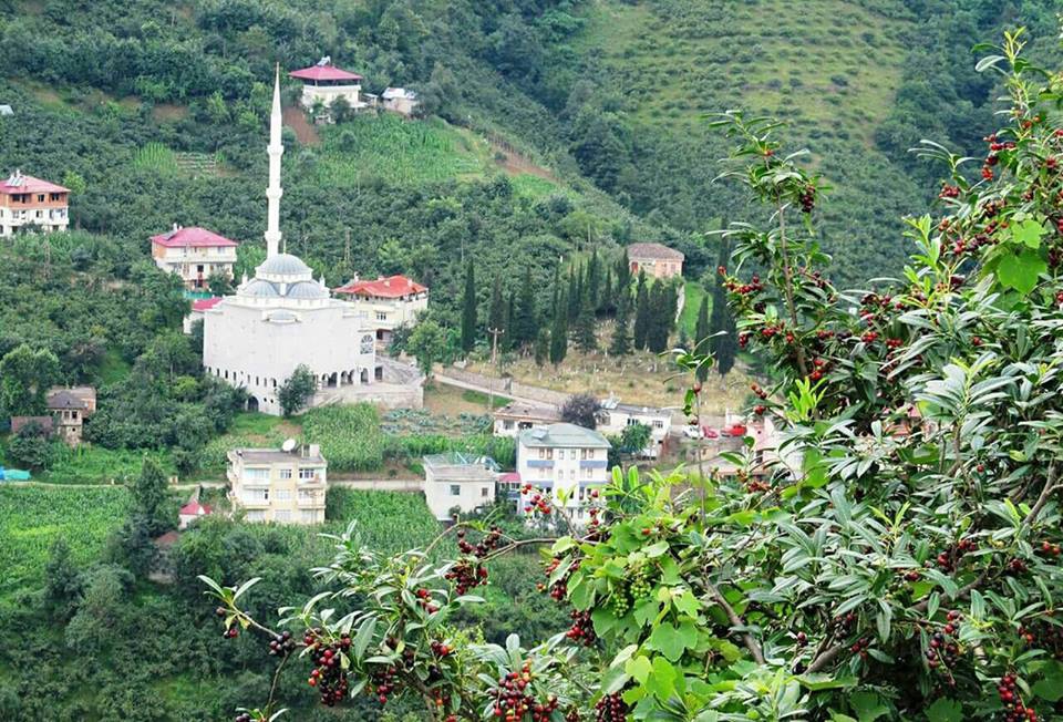 Akçaabat Uçarsu Köyü Resimleri 6