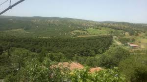 Savaştepe Kocabıyıklar Köyü Resimleri 3