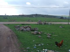 Savaştepe Kocaören Köyü Resimleri 4