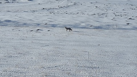 Hanak Sevimli Köyü Resimleri 1