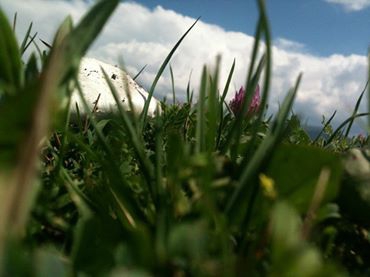 Hanak Sulakçayır Köyü Resimleri 1