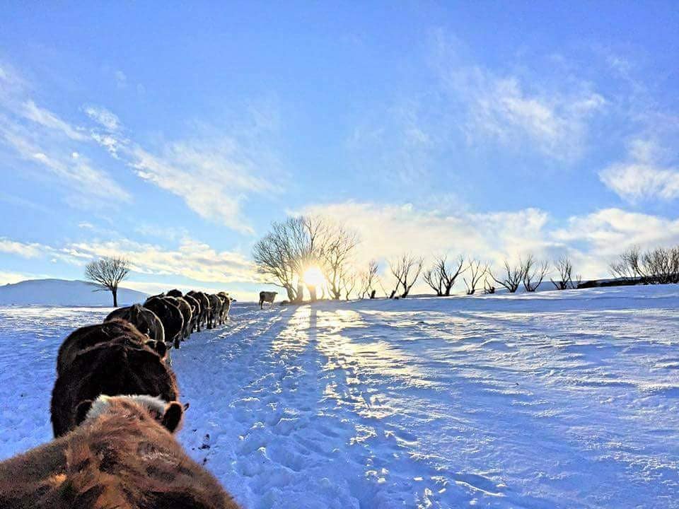 Hanak Yamaçyolu Köyü Resimleri 5