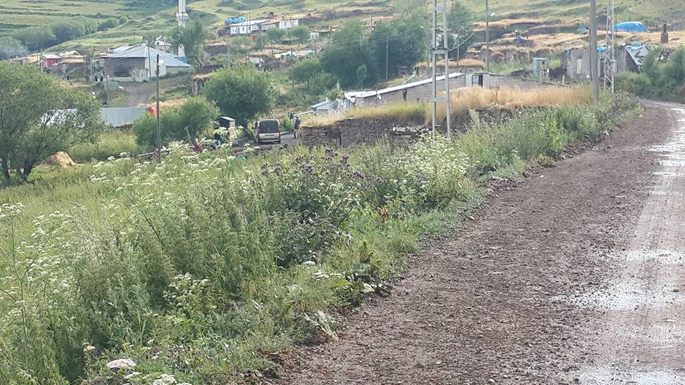 Hanak Yamaçyolu Köyü Resimleri 6