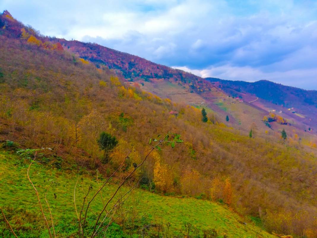 Bulancak Ezeltere Köyü Resimleri 11