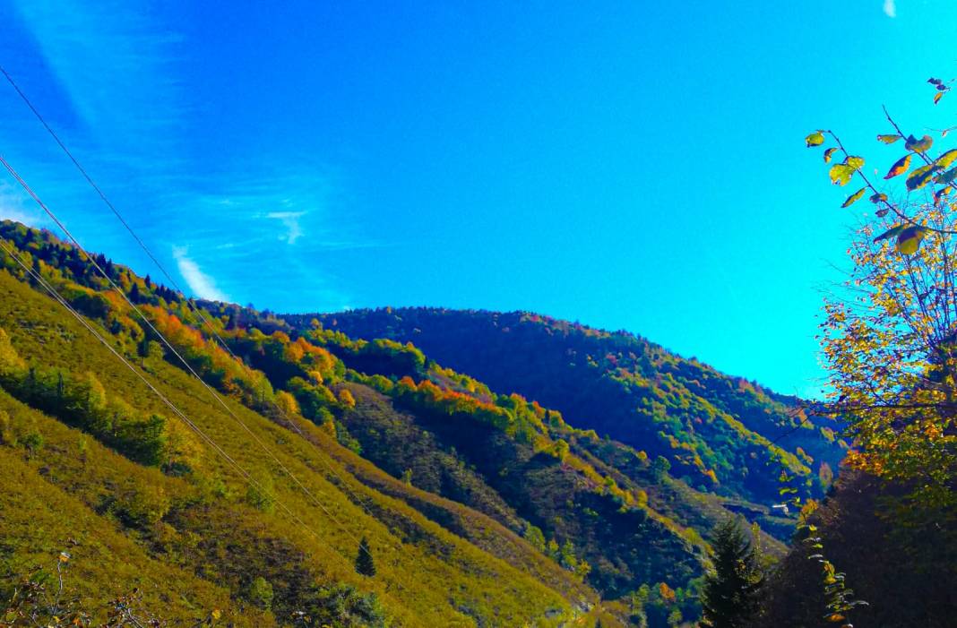 Bulancak Ezeltere Köyü Resimleri 12