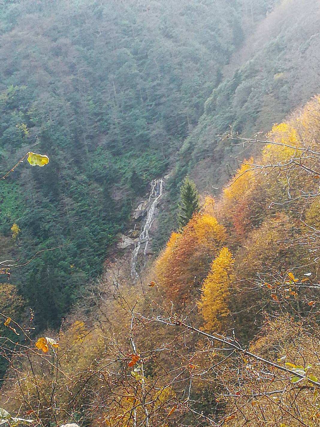 Bulancak Ezeltere Köyü Resimleri 14