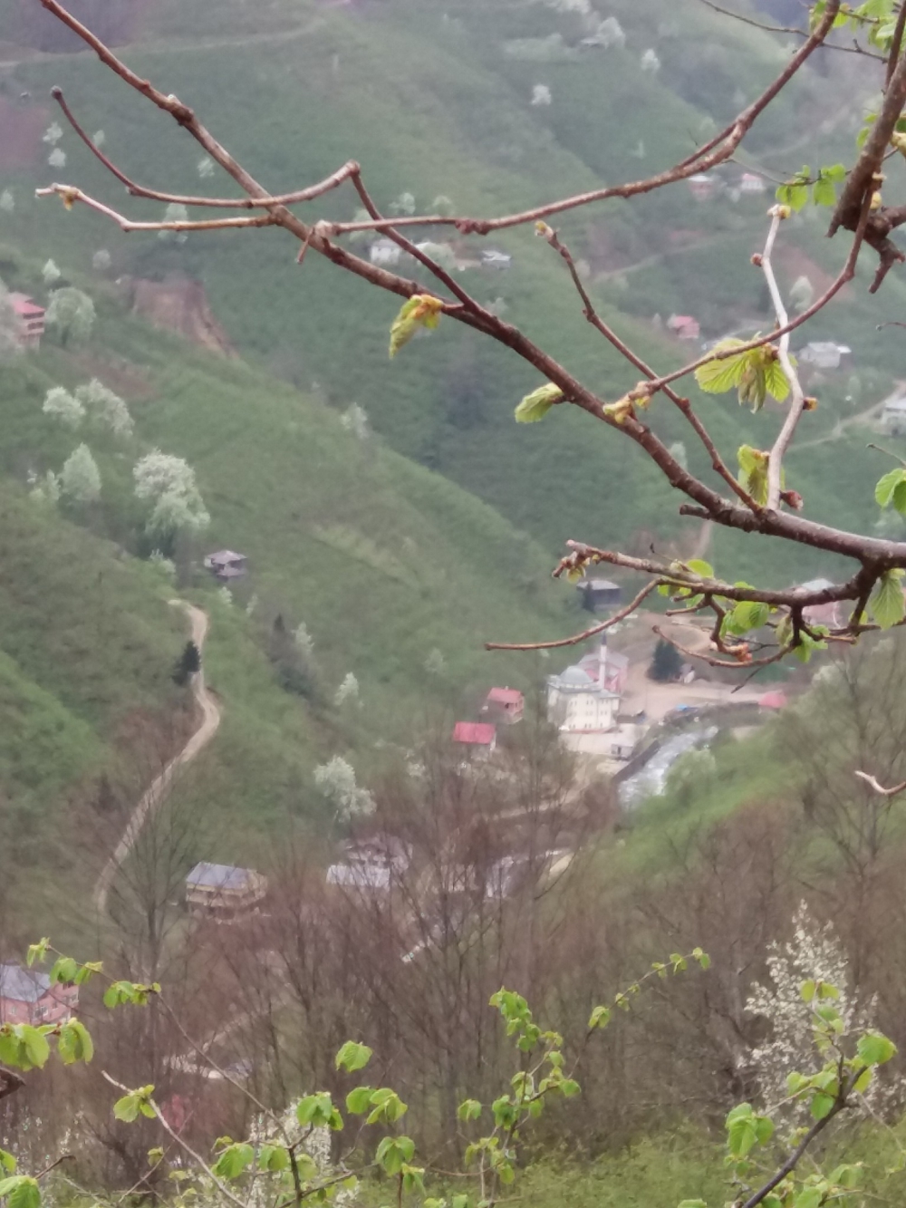 Bulancak Ezeltere Köyü Resimleri 3