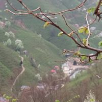 Bulancak Ezeltere Köyü Resimleri 5