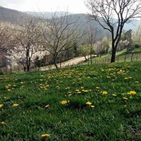 Bulancak Ezeltere Köyü Resimleri 6