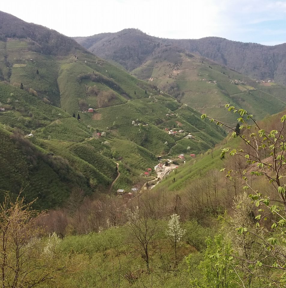 Bulancak Ezeltere Köyü Resimleri 7