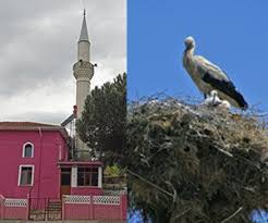 Biga Adliye Köyü resimleri 5