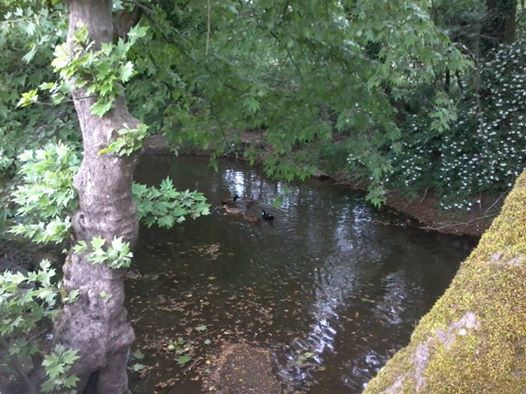 Savaştepe Soğucak Köyü Resimleri 3